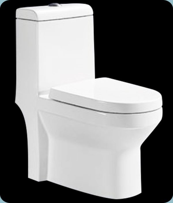 WC MONOBLOC A503 BLANC SH 690X350X805MM